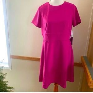 Maggy London Fuchsia Pink Dress Fit Flare 12 Stretch Cocktail Short Sleeve NEW